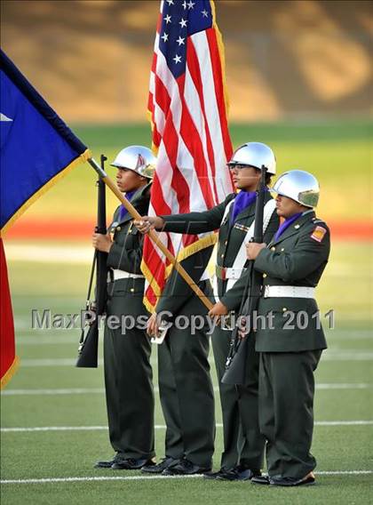 Thumbnail 3 in Birdville @ Paschal photogallery.