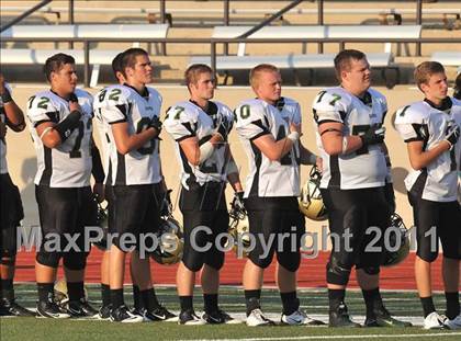 Thumbnail 1 in Birdville @ Paschal photogallery.