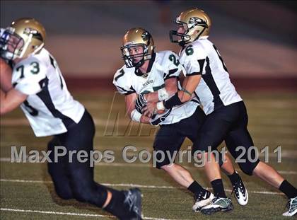 Thumbnail 3 in Birdville @ Paschal photogallery.