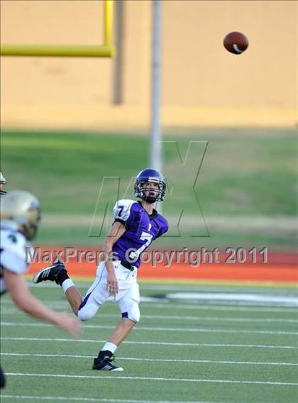 Thumbnail 3 in Birdville @ Paschal photogallery.