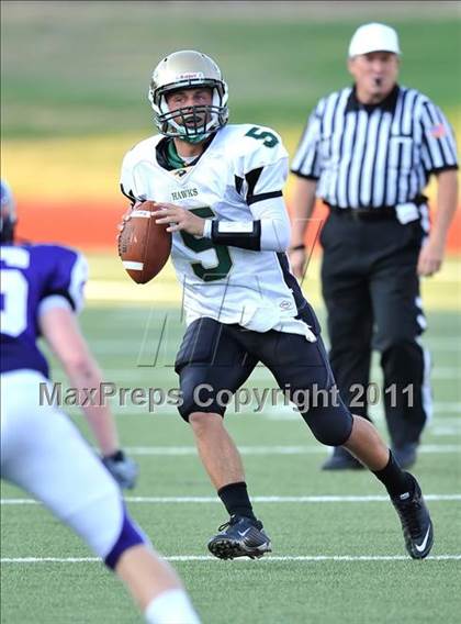 Thumbnail 1 in Birdville @ Paschal photogallery.