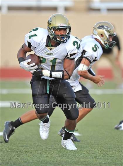 Thumbnail 3 in Birdville @ Paschal photogallery.