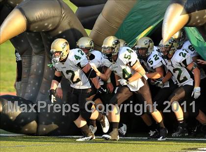 Thumbnail 2 in Birdville @ Paschal photogallery.