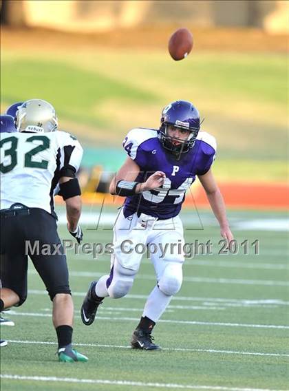 Thumbnail 2 in Birdville @ Paschal photogallery.