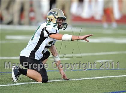 Thumbnail 3 in Birdville @ Paschal photogallery.