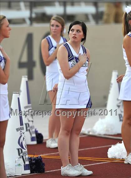 Thumbnail 2 in Birdville @ Paschal photogallery.