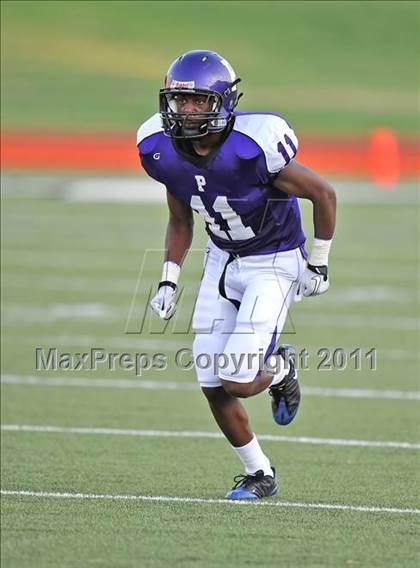 Thumbnail 1 in Birdville @ Paschal photogallery.