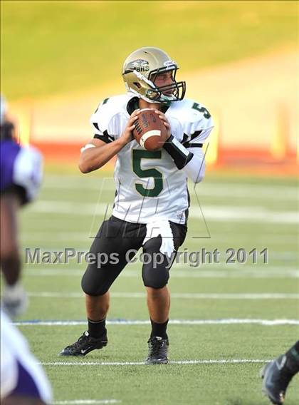 Thumbnail 3 in Birdville @ Paschal photogallery.