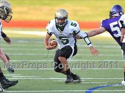 Thumbnail 2 in Birdville @ Paschal photogallery.