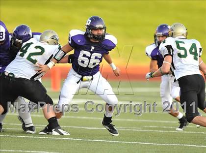 Thumbnail 2 in Birdville @ Paschal photogallery.
