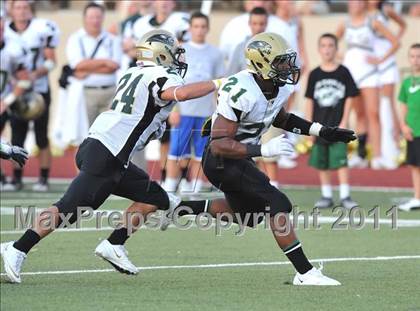 Thumbnail 2 in Birdville @ Paschal photogallery.