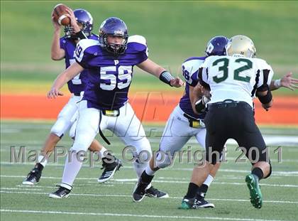 Thumbnail 1 in Birdville @ Paschal photogallery.