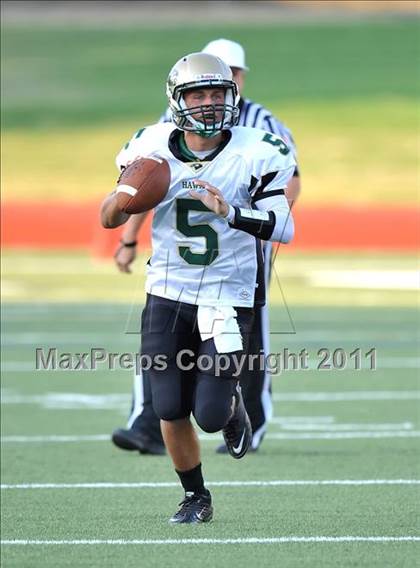 Thumbnail 3 in Birdville @ Paschal photogallery.