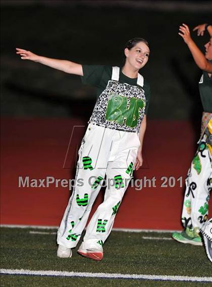 Thumbnail 2 in Birdville @ Paschal photogallery.