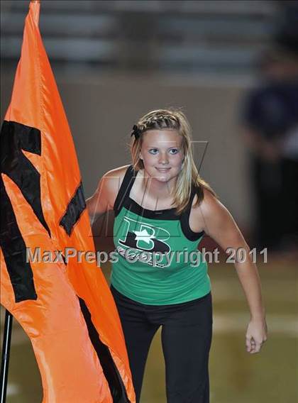 Thumbnail 1 in Birdville @ Paschal photogallery.