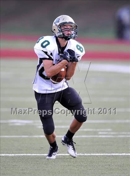 Thumbnail 3 in Birdville @ Paschal photogallery.
