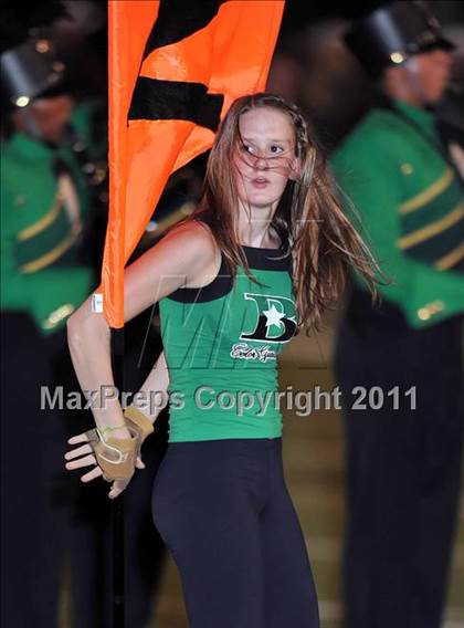 Thumbnail 1 in Birdville @ Paschal photogallery.