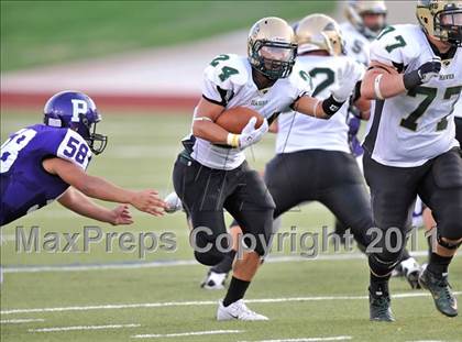 Thumbnail 3 in Birdville @ Paschal photogallery.