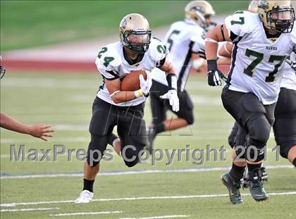 Thumbnail 2 in Birdville @ Paschal photogallery.