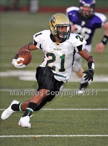Thumbnail 2 in Birdville @ Paschal photogallery.