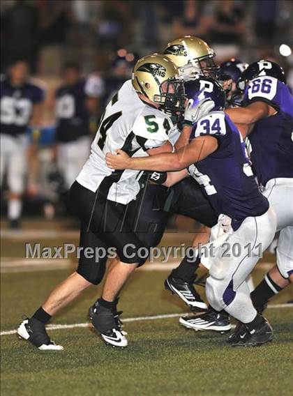 Thumbnail 3 in Birdville @ Paschal photogallery.