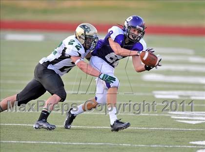 Thumbnail 1 in Birdville @ Paschal photogallery.