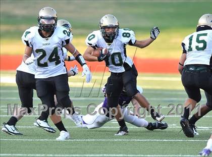 Thumbnail 2 in Birdville @ Paschal photogallery.
