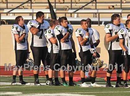 Thumbnail 2 in Birdville @ Paschal photogallery.