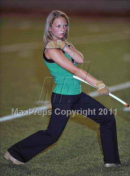 Thumbnail 3 in Birdville @ Paschal photogallery.