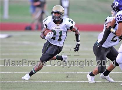 Thumbnail 2 in Birdville @ Paschal photogallery.