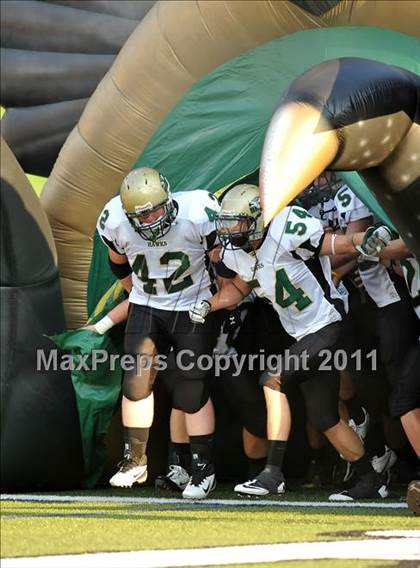 Thumbnail 3 in Birdville @ Paschal photogallery.