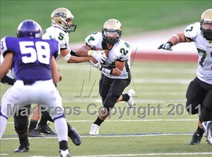 Thumbnail 1 in Birdville @ Paschal photogallery.