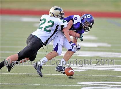Thumbnail 2 in Birdville @ Paschal photogallery.