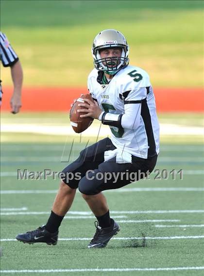 Thumbnail 3 in Birdville @ Paschal photogallery.