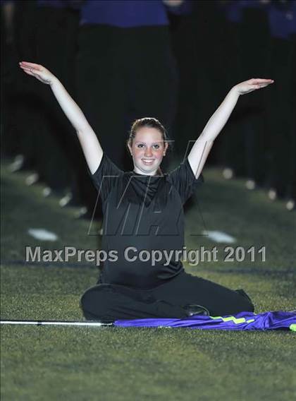 Thumbnail 1 in Birdville @ Paschal photogallery.
