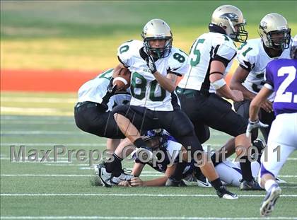 Thumbnail 3 in Birdville @ Paschal photogallery.