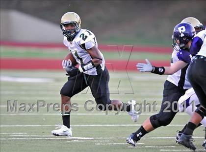 Thumbnail 1 in Birdville @ Paschal photogallery.