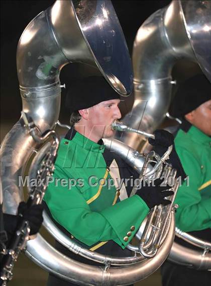 Thumbnail 1 in Birdville @ Paschal photogallery.