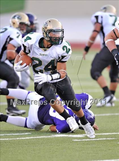Thumbnail 2 in Birdville @ Paschal photogallery.