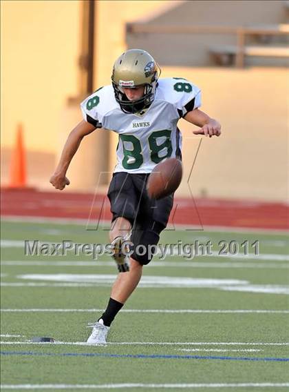 Thumbnail 3 in Birdville @ Paschal photogallery.