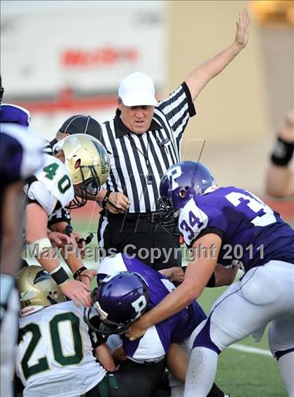 Thumbnail 3 in Birdville @ Paschal photogallery.
