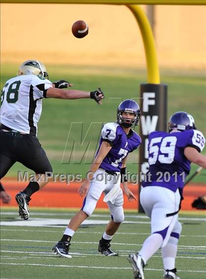 Thumbnail 3 in Birdville @ Paschal photogallery.