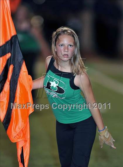 Thumbnail 2 in Birdville @ Paschal photogallery.