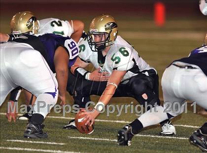 Thumbnail 3 in Birdville @ Paschal photogallery.