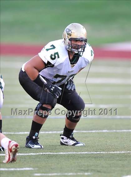 Thumbnail 1 in Birdville @ Paschal photogallery.