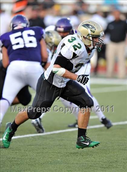 Thumbnail 2 in Birdville @ Paschal photogallery.