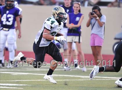 Thumbnail 2 in Birdville @ Paschal photogallery.