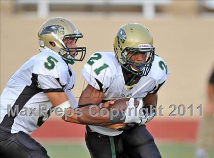 Thumbnail 1 in Birdville @ Paschal photogallery.