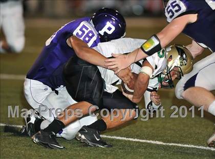 Thumbnail 2 in Birdville @ Paschal photogallery.