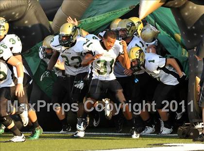 Thumbnail 1 in Birdville @ Paschal photogallery.